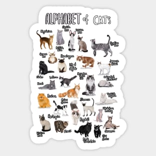 Types of cats alphabet a-z abc cat identification cat lover Sticker